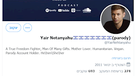 יאיר נתניהו חשבון טוויטר מזויף, צילום: צילום מסך